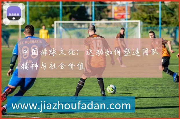 中国排球文化：运动如何塑造团队精神与社会价值