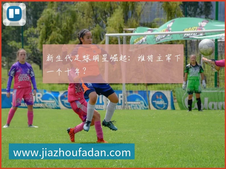 中国女排精神：从辉煌历程看国家荣誉的拼搏之路