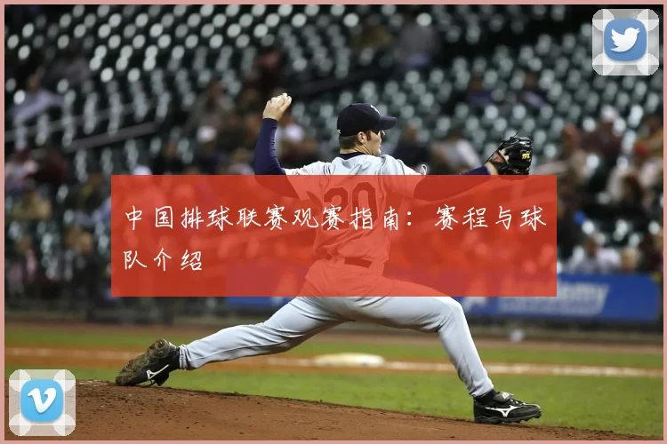 中国排球联赛观赛指南：赛程与球队介绍